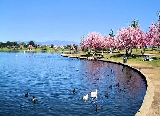 Lake-Balboa