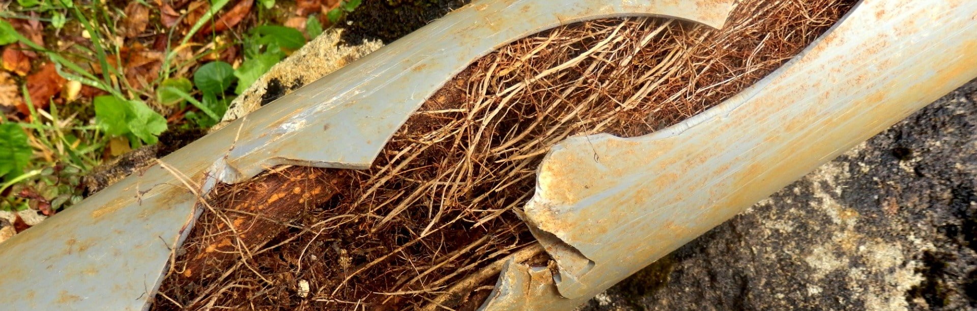 Causes of Sewer Line Damage